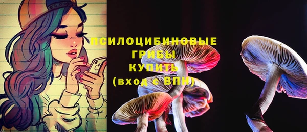 тгк Баксан